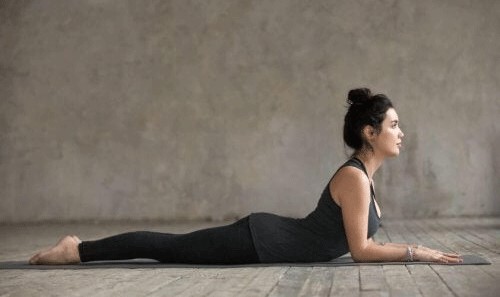 sphinx-pose-salamba-bhujangasana