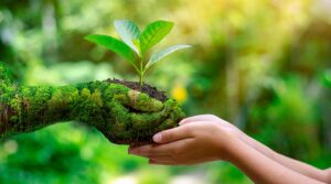 sustainable-lifestyle-featured
