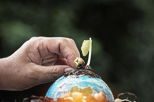 2021-sustainable-nutrition-trends-biodiversity