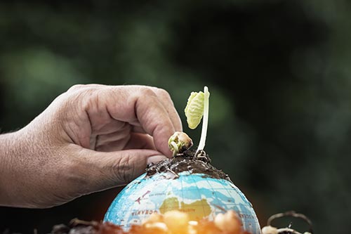 2021-sustainable-nutrition-trends-biodiversity