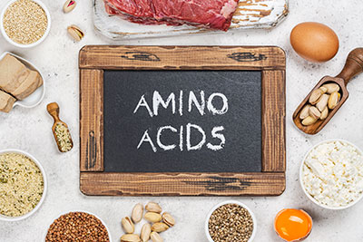 animal-protein-vs-plant-protein-amino-acids