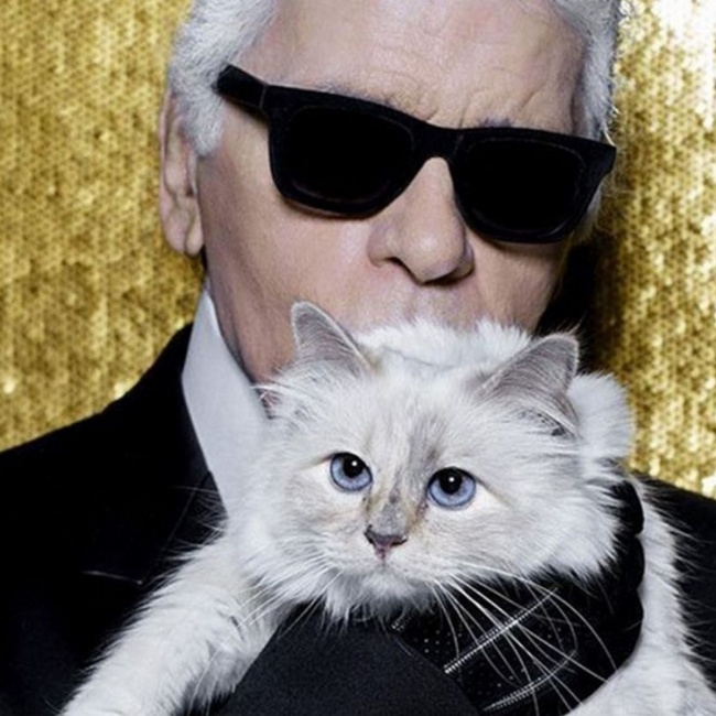 famous pets karl_lagerfeld_cat