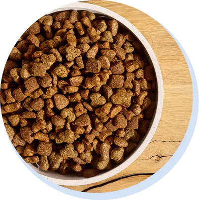 tails.com-tailored-dog-food