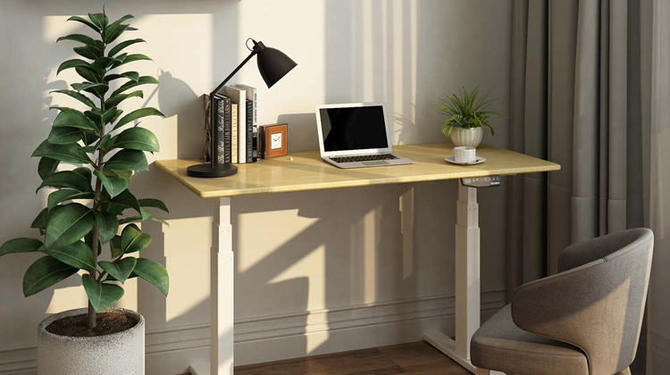 adjustable standing desk pro series E6&E7