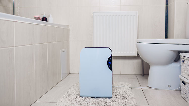 right-dehumidifier-for-your-bathroom