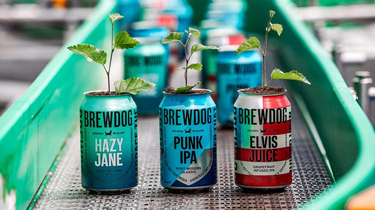 brewdog_featured_01