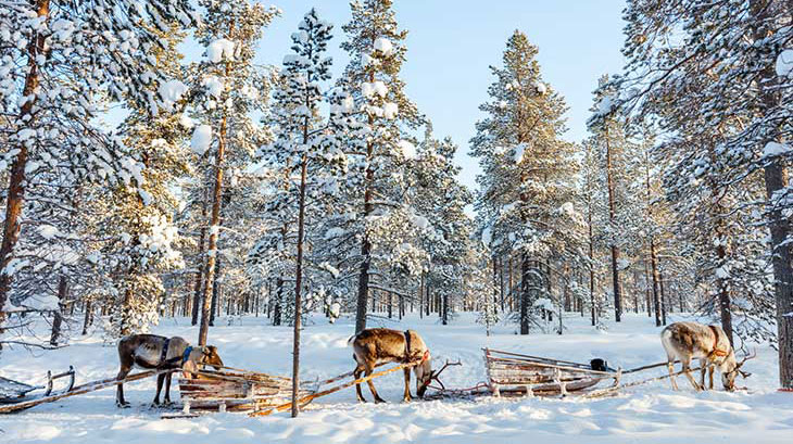 fairytale-winter-destinations-laponia-finland