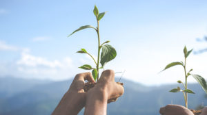 sustainable-life-featured-img_1