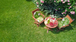 how-to-create-a-beautiful-garden-featured-img