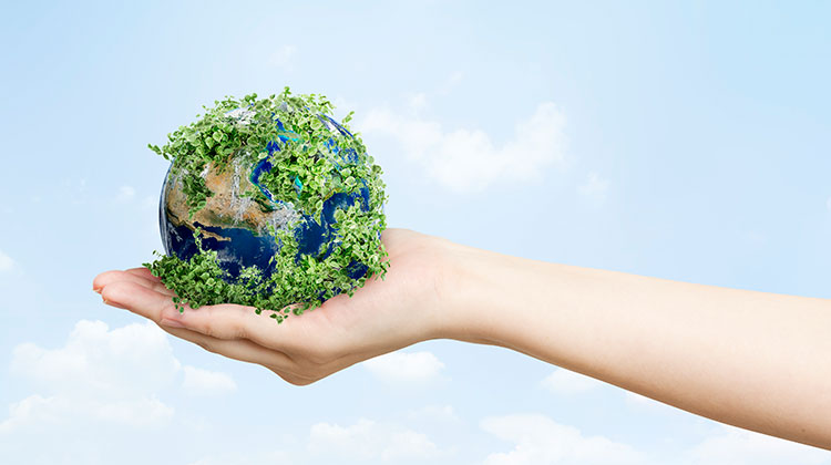 environmentally-friendly-featured-img