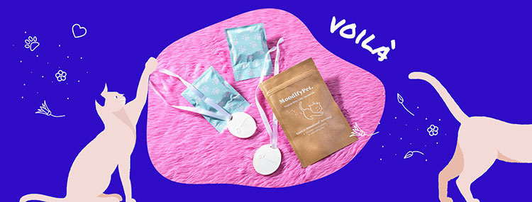 modifypet-banner1