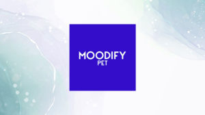 modifypet-featured-img