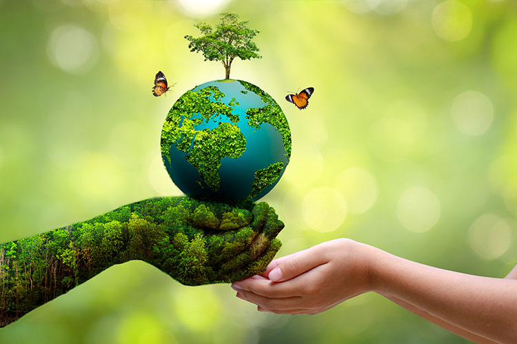 sustainability-featured-img