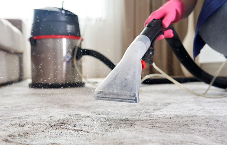 carpet-cleaner-featured-img