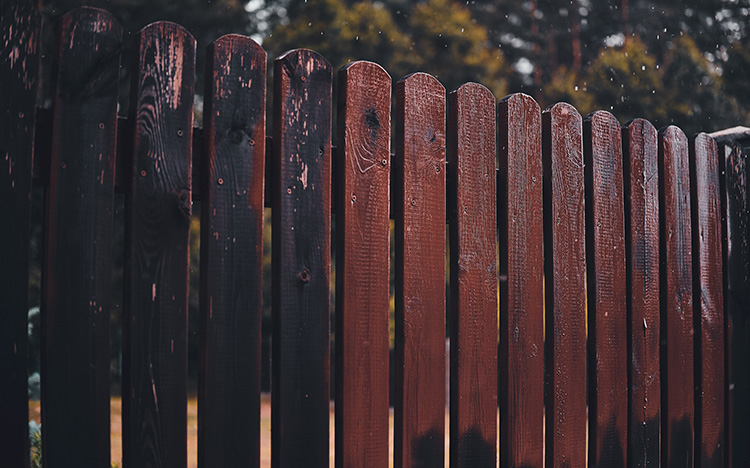 fence-posts-apr23-featured-img