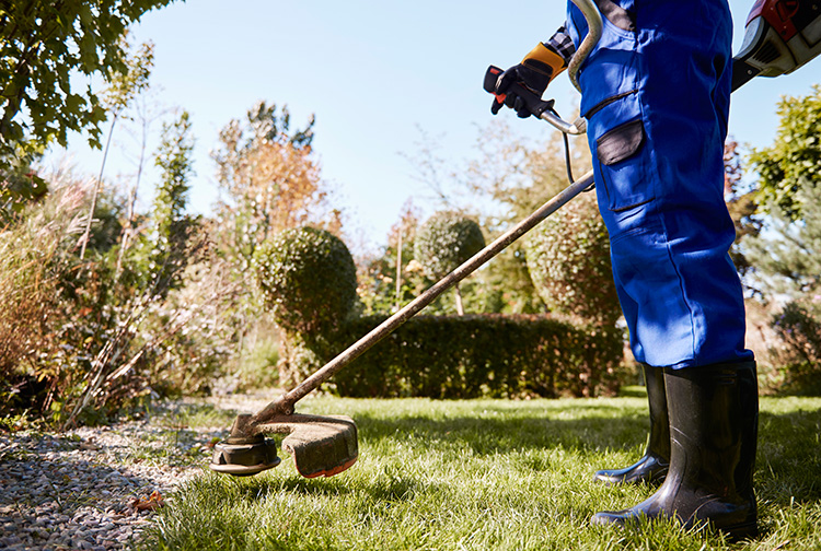 landscapers-may23-featured-img
