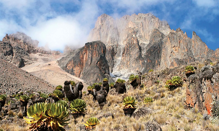 mount-kenya-june23-featured-img