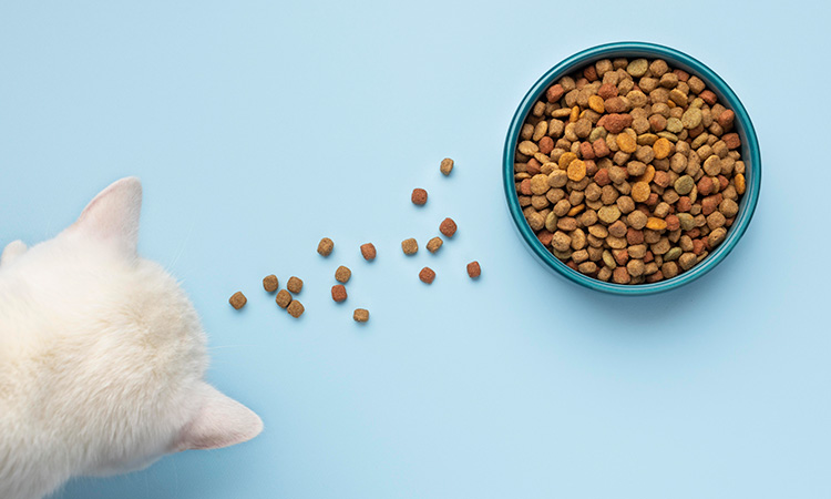 natural-pet-food-june23-featured-img