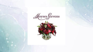 moyses-stevens-sep23-featured