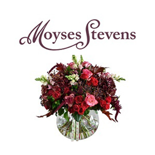 moyses-stevens-sep23-logo-img