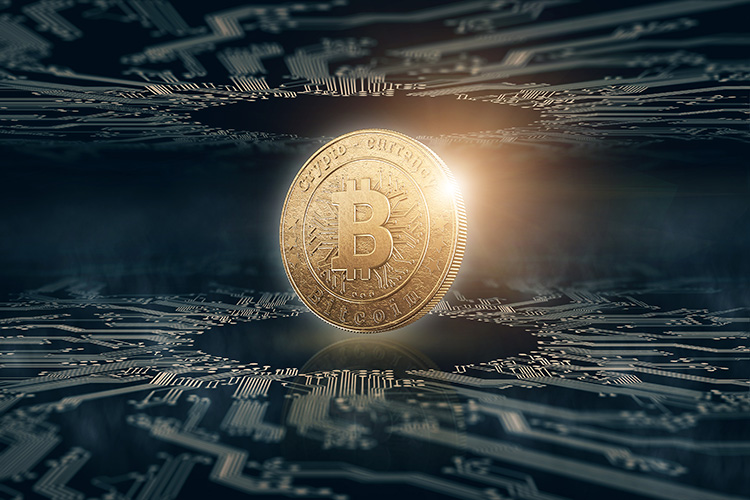 Revealing the 7 Cryptocurrencies to Buy in 2024 Voucherix