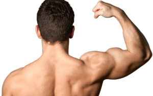 muscle-growth-feb24-featured-img