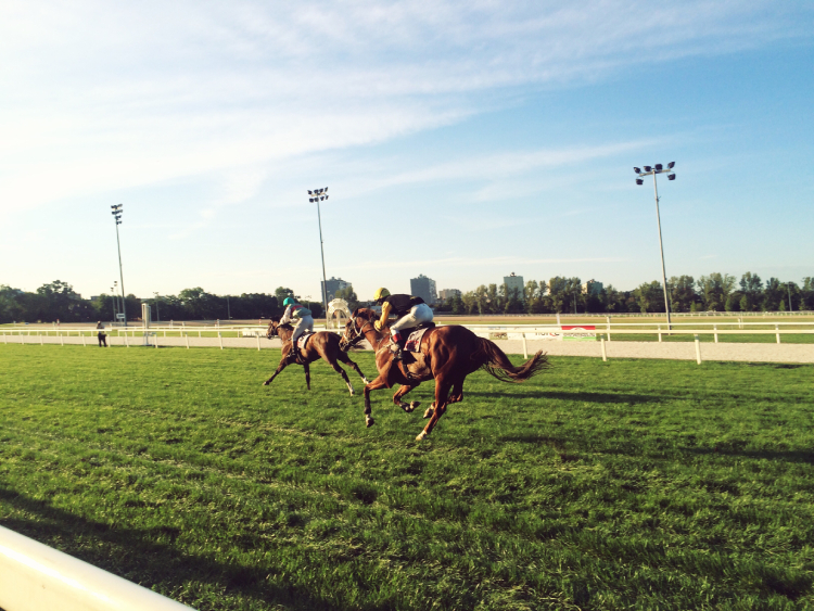 Royal Ascot may25 v-1